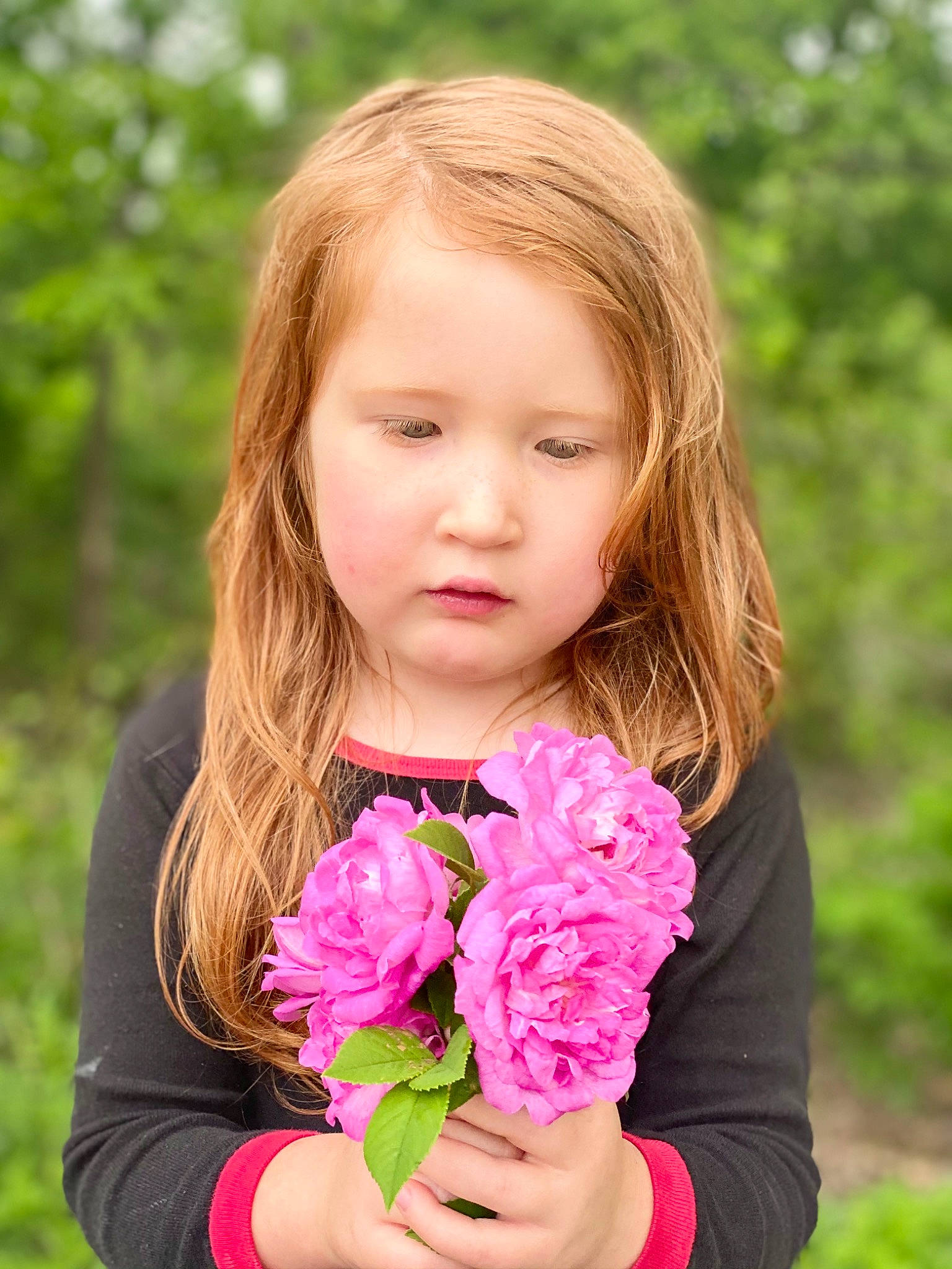 Raelynn joined the competition — help win amazing prizes! beauty, botany, bouquet, floribunda, flower, flower_arranging, flowering_plant, garden_roses, grass, happy, hybrid_tea_rose, magenta, nature, people_in_nature, person, petal, pink, plant, rosa_centifolia, rose