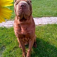 Gipsi a rejoint le concours — aidez-le/la à gagner de superbes lots !