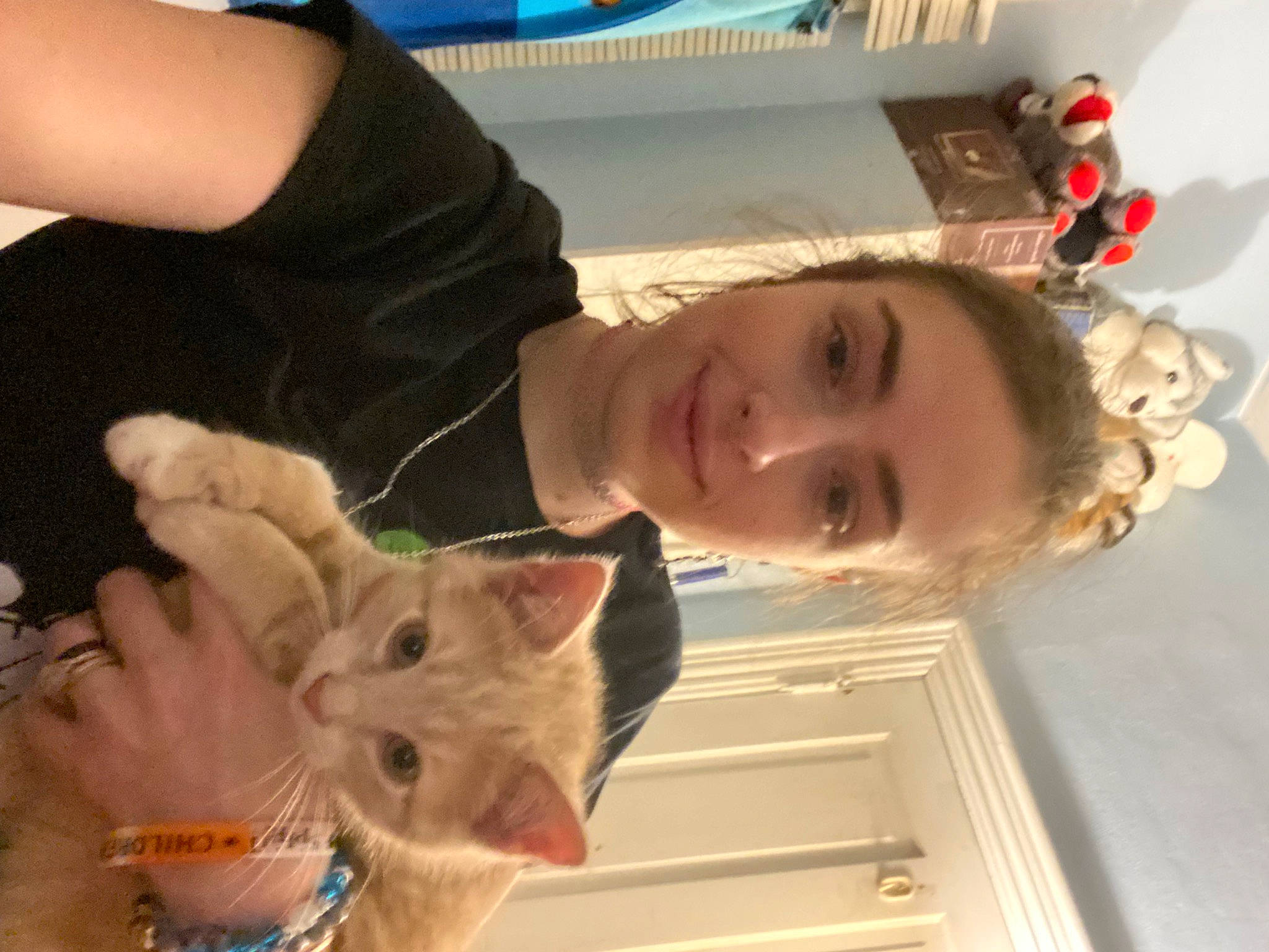 Tigger is registered to the contest to win money with this photo: carnivore, cat, child, domestic_short_haired_cat, ear, eye, fawn, felidae, fun, fur, gesture, happy, nail, nose, organ, small_to_medium_sized_cats, smile, snapshot, thumb, whiskers