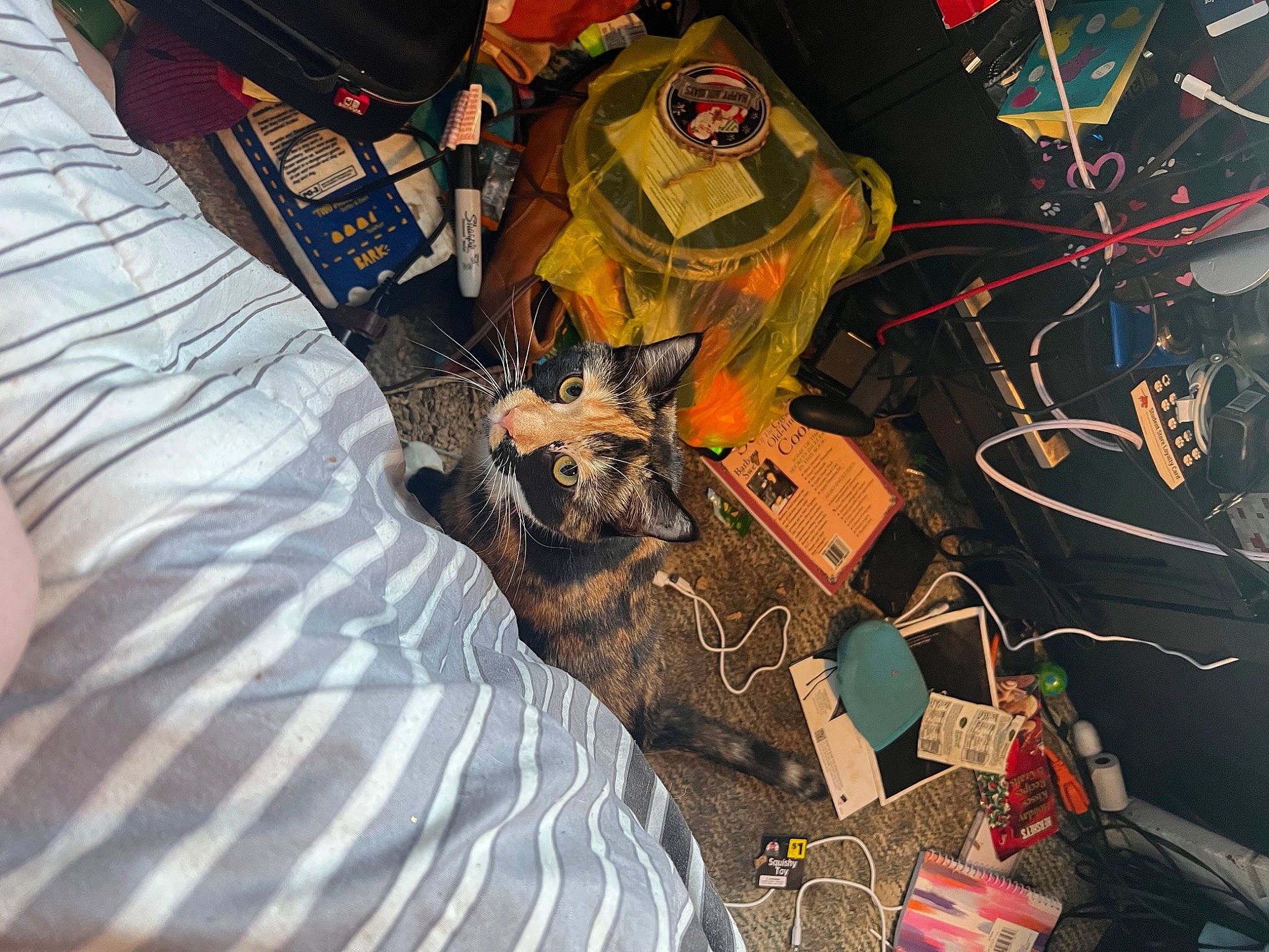 Betty joined the competition — help win amazing prizes! bag, electrical_wiring, event, fashion_accessory, hat, linens, luggage_and_bags, military_camouflage, pattern, personal_protective_equipment, sleeve, t_shirt, visual_arts, wire