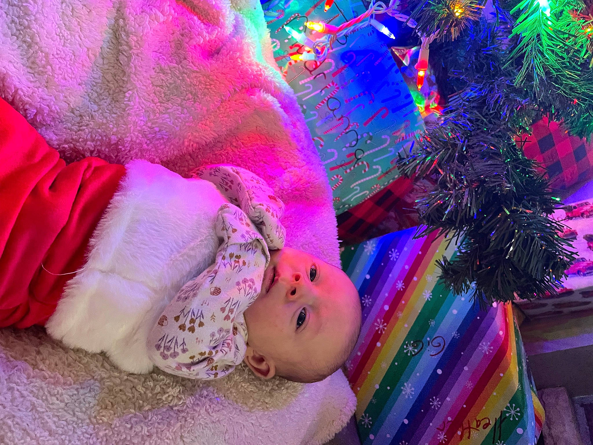 Heather joined the competition — help win amazing prizes! baby, baby_toddler_clothing, child, christmas_tree, event, fur, holiday, magenta, person, pink, plant, purple, toddler, violet