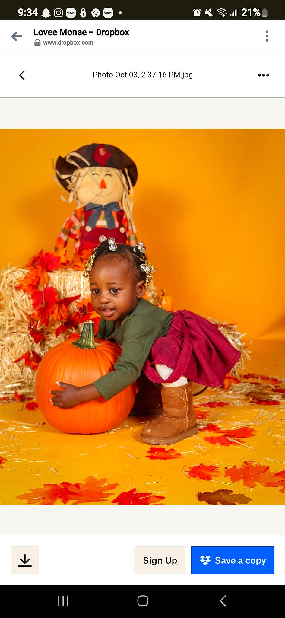 Kaisley is registered to the contest to win money with this photo: art, calabaza, child, cucurbita, event, fruit, gourd, happy, holiday, natural_foods, orange, person, plant, pumpkin, smile, squash, toddler, tradition, trick_or_treat, vegetable