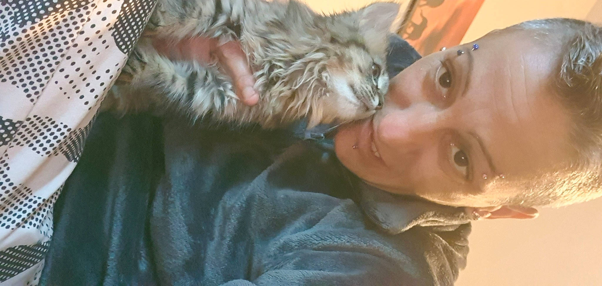 Gribouille a rejoint le concours — aidez-le/la à gagner de superbes lots ! carnivore, cat, comfort, companion_dog, dog_breed, ear, eye, eyelash, fawn, felidae, gesture, happy, iris, jaw, long_hair, small_to_medium_sized_cats, smile, snout, tail, whiskers