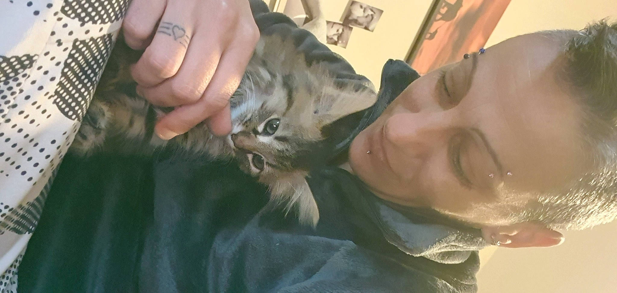 Gribouille a rejoint le concours — aidez-le/la à gagner de superbes lots ! bird_of_prey, carnivore, cat, claw, dog_breed, domestic_short_haired_cat, eyelash, eyewear, fawn, felidae, fur, gesture, nail, paw, picture_frame, small_to_medium_sized_cats, snout, terrestrial_animal, whiskers, wildlife_biologist