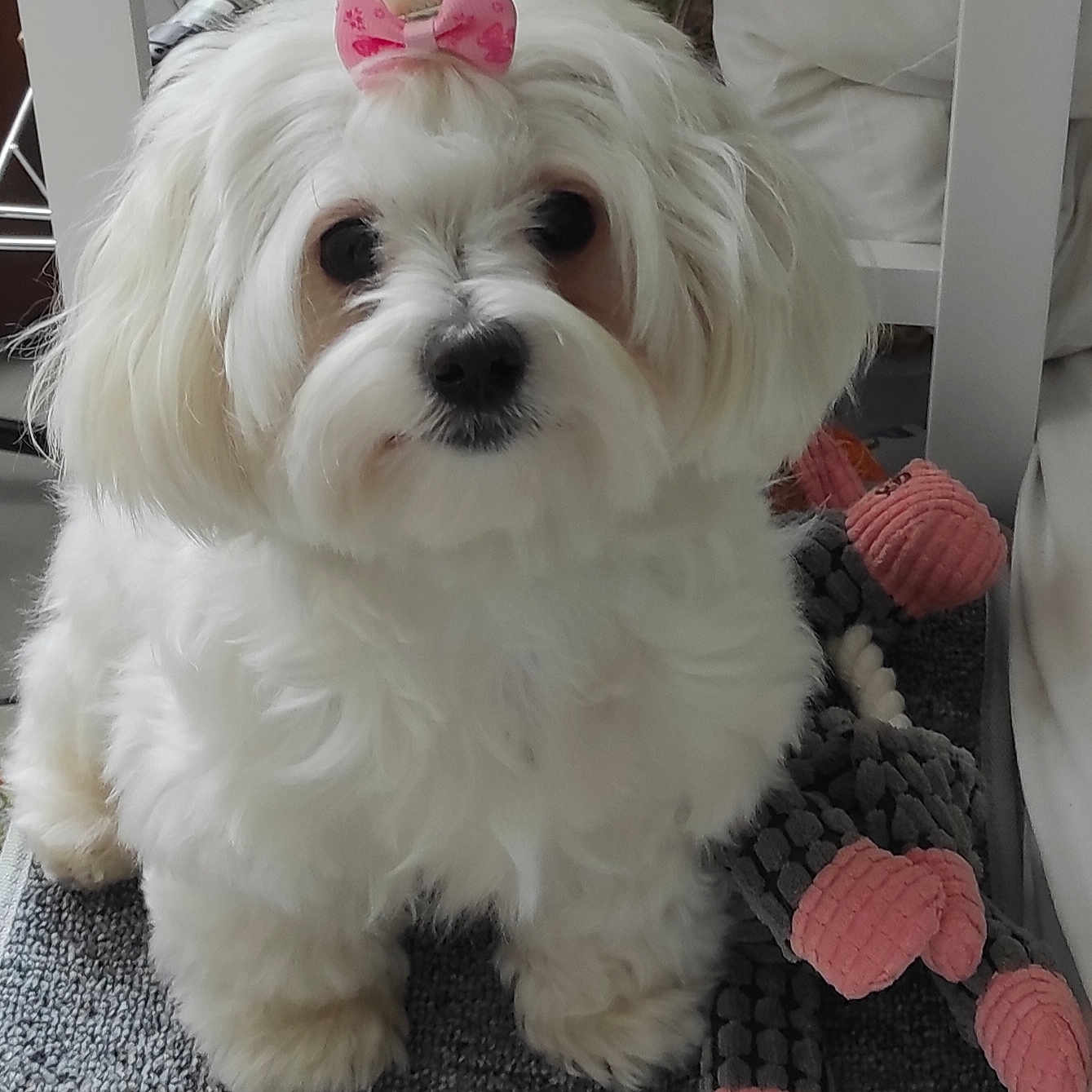 Ullie