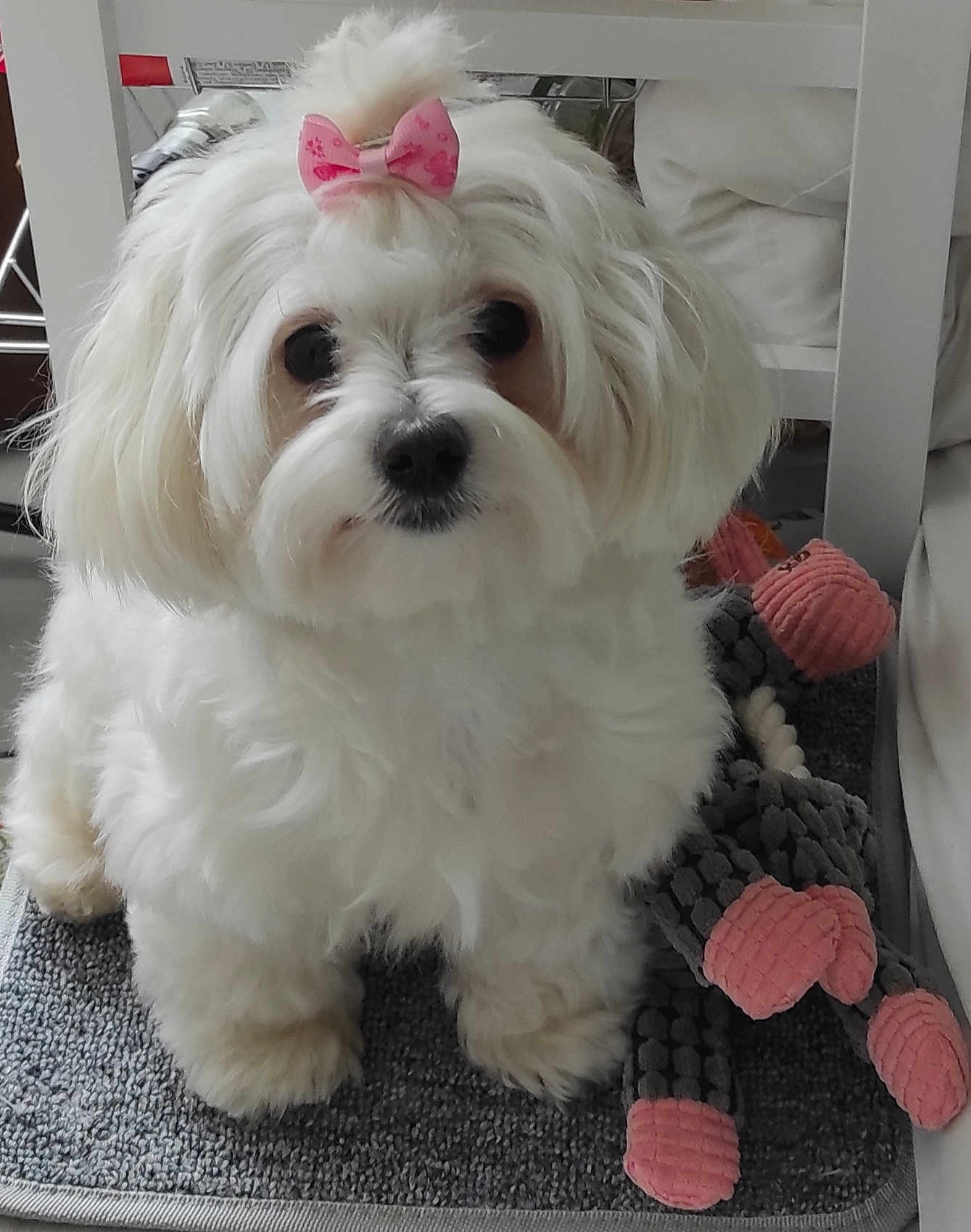 Ullie