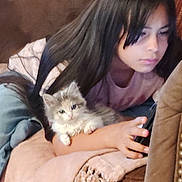 Muffin is registered to the contest to win money with this photo: girl, kitten, cat, couch, blanket, phone, long_hair, indoor, pet, relaxing, child, casual, home, comfort, soft_texture, curious, lying_down, holding, cozy, young