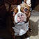 Rocko