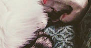 Thumper is registered to the contest to win money with this photo: cat, cats, feline, white_cat, black_cat, fluffy, fur, sleeping, curled_up,  cuddling, pet, animal, close_up, cozy, nap, resting, soft, patterned_fabric, indoors, portrait