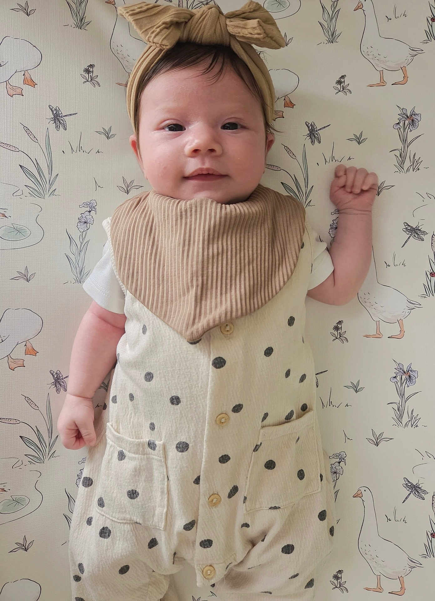 Ellie is registered to the contest to win money with this photo: baby, child, infant, polka_dot, headband, bow, clothing, wallpaper, duck, dragonfly, plant, cute, smiling, portrait, indoors, person, fashion, baby_clothes, adorable, expression