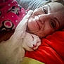 affection, blanket, cat, closeup, comfort, cozy, cuddle, face, happy, indoor, paw, person, pink_nose, relaxed, resting, sleeping, snuggling, soft, warm, white_cat