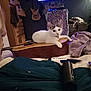 Laney is registered to the contest to win money with this photo: acoustic_guitar, bedroom, blanket, cat, dresser, electric_guitar, furniture, indoor, lamp, music_instrument, patterned_tapestry, pet, pillow, remote_control, room, television, towel, tube, wall, wood
