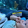 Elijah is registered to the contest to win money with this photo: baby, infant, blue_eyes, blanket, car_seat, warning_label, hand, fingers, clothing, aquarium, underwater, blurred_background, person, cute, indoors, child, face, skin, seated, curious