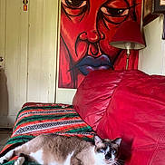 Cocoa is registered to the contest to win money with this photo: cat, blue_eyes, red_couch, blanket, painting, lamp, indoor, relaxed, furniture, art, decor, wall, door, colorful, cozy, pet, animal, living_room, portrait, resting