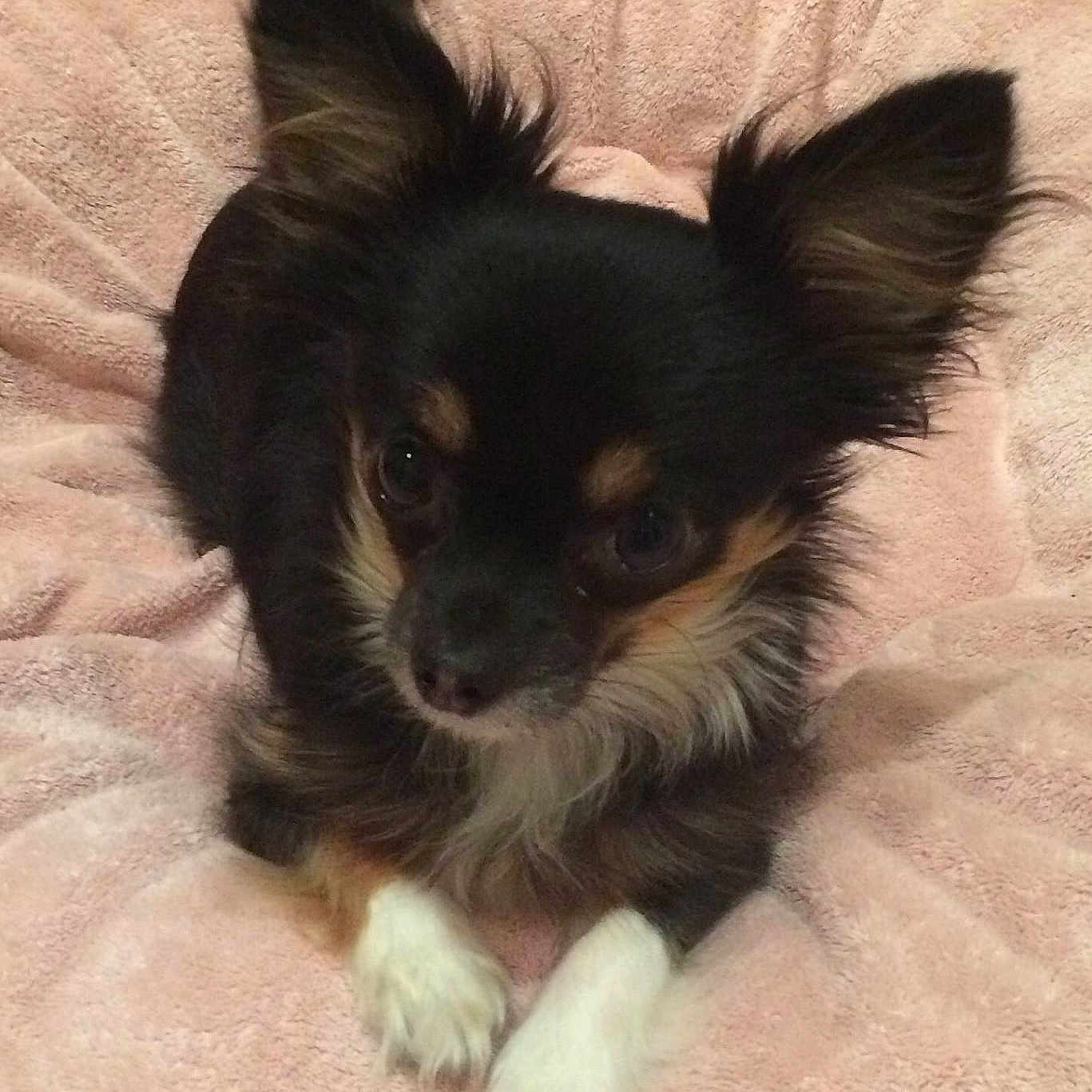 Teeny is registered to the contest to win money with this photo: