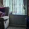 cat, pet, animal, indoors, living_room, window, curtains, lace_curtains, armchair, chair, sofa, carpet, floor, furniture, sunlight, daylight, cozy, home, peekaboo, portrait