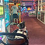 dog, arcade, stroller, person, toy, stuffed_animal, game, carpet, neon_light, machine, indoor, colorful, playing, leisure, entertainment, black_and_white_dog, casual_clothing, back_view, harness, wheel