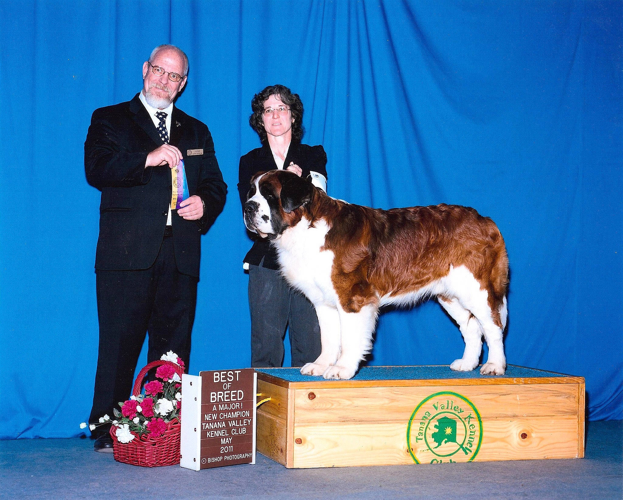 Eamon is registered to the contest to win money with this photo: animal_sports, canidae, carnivore, chair, companion_dog, curtain, dog, dog_breed, dog_sports, entertainment, event, fawn, formal_wear, fun, fur, smile, sporting_group, suit, tie, working_dog