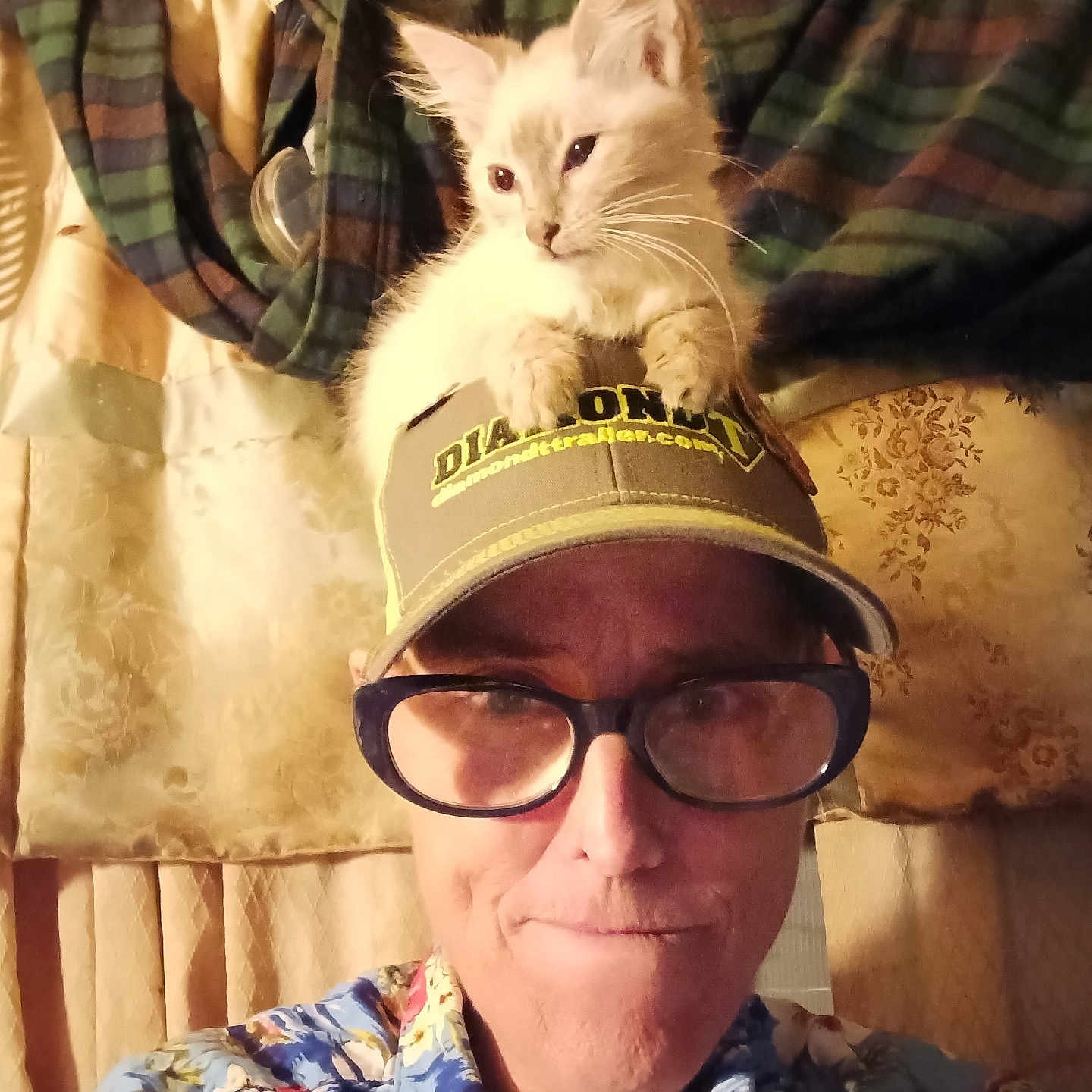 Symie is registered to the contest to win money with this photo: animal, blanket, casual, cat, colorful_clothing, cozy, cushion, eyewear, face, feline, glasses, hat, headwear, indoor, kitten, person, pet, portrait, shirt, smile