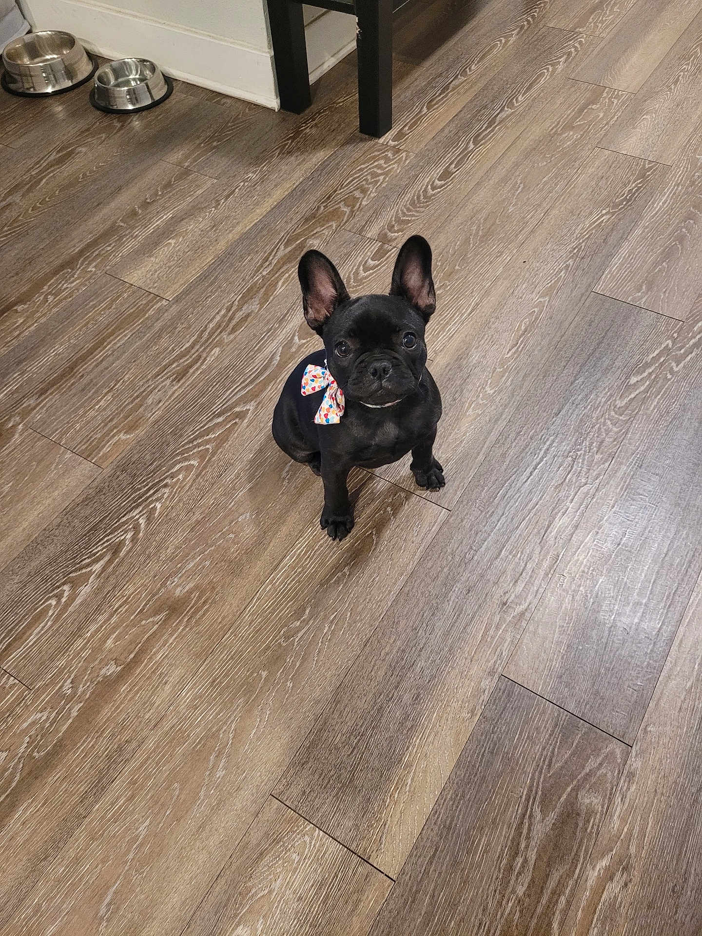 Coco