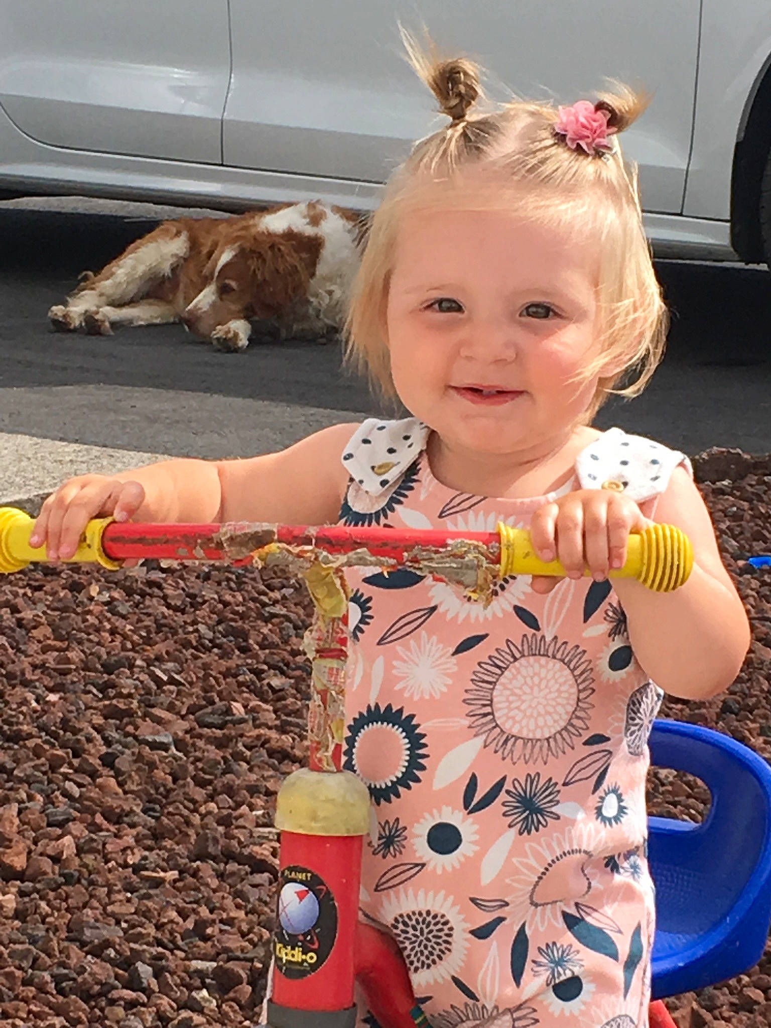 Remy is registered to the contest to win money with this photo: blond, child, fawn, person, play, summer, toddler, vacation