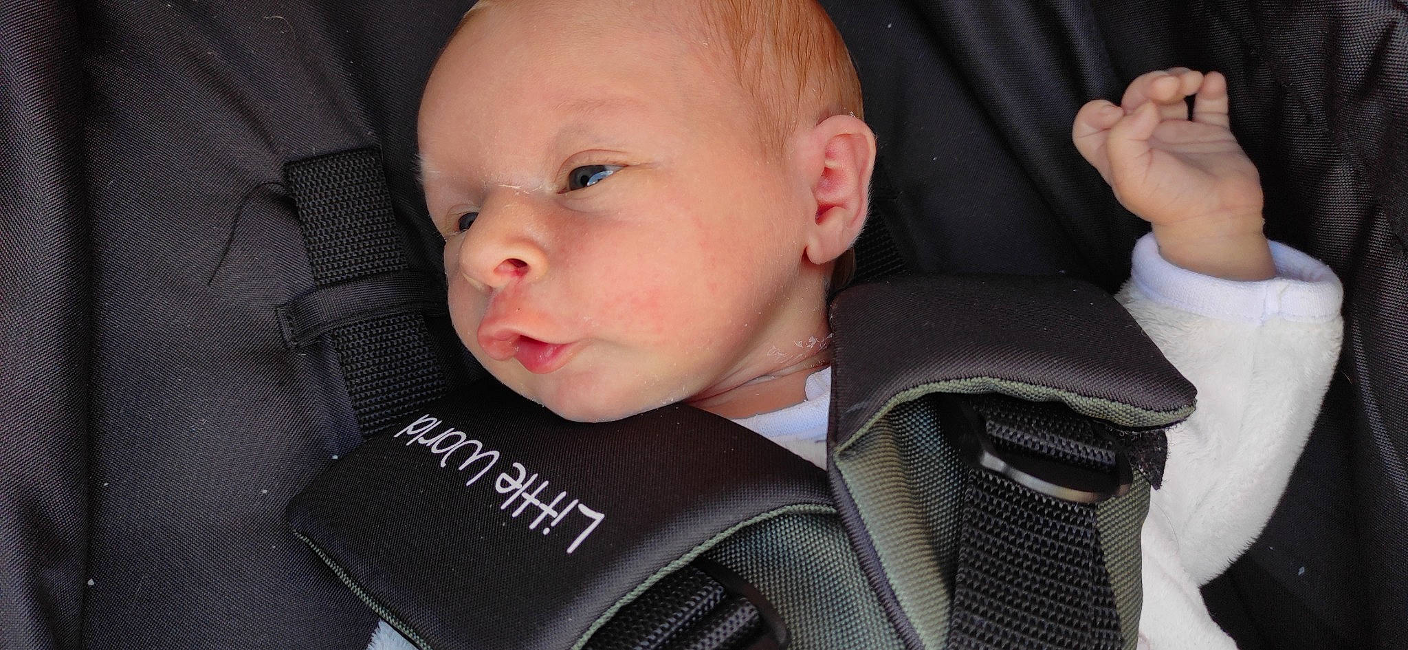 Louise a rejoint le concours — aidez-le/la à gagner de superbes lots ! cheek, chin, comfort, ear, eyebrow, eyelash, facial_expression, forehead, hairstyle, human_body, lip, mammal, mouth, neck, nose, outerwear, person, product, skin, sleeve