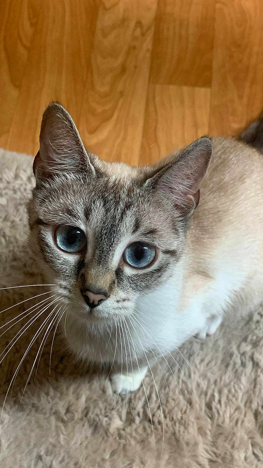 Vanya