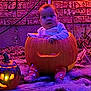 baby, pumpkin, jackolantern, halloween, glowing, carved, face, child, costume, outdoor, decorations, cobweb, spooky, festive, brick_wall, night, purple_lighting, cute, sitting, holiday
