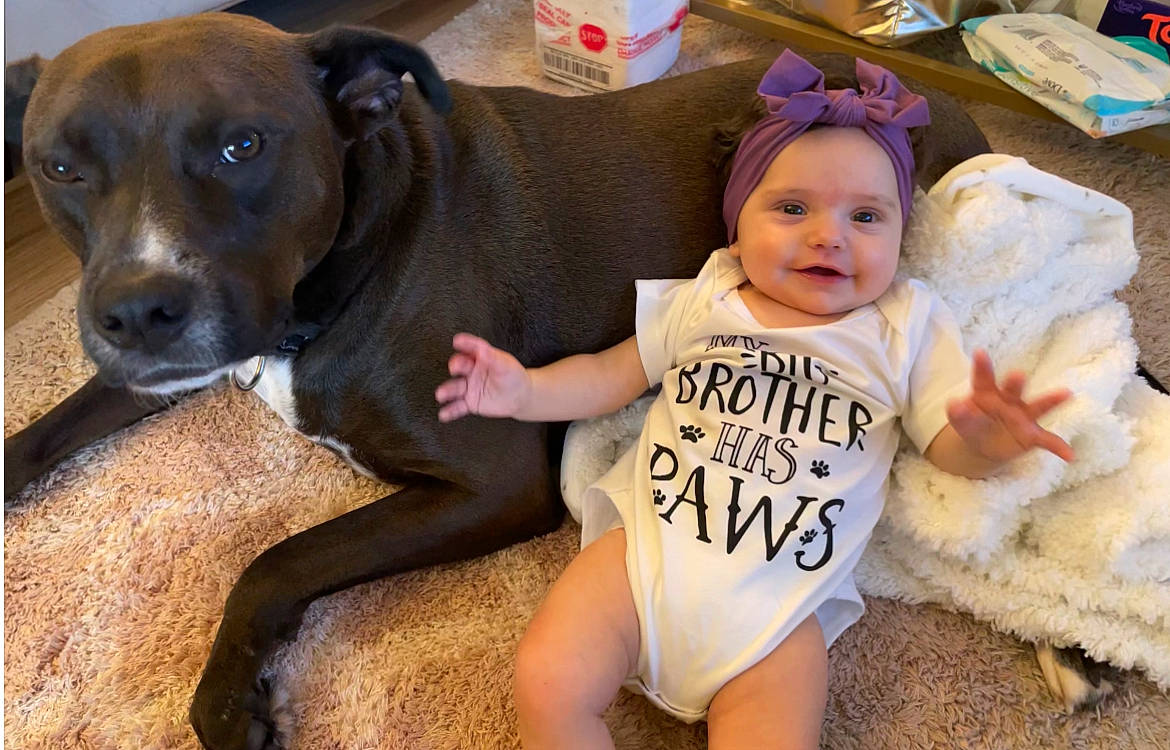 Lucianna joined the competition — help win amazing prizes! baby, baby_toddler_clothing, carnivore, child, companion_dog, dog, dog_breed, event, facial_expression, fawn, fun, fur, happy, hat, head, headwear, joy, person, smile, t_shirt