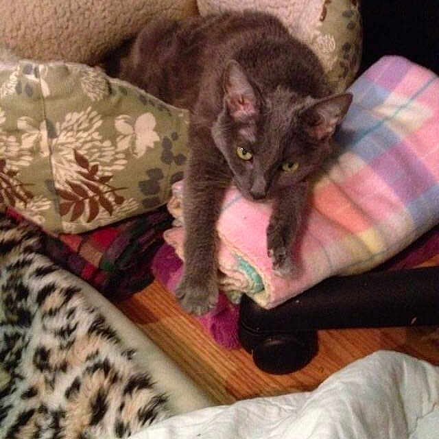 Sophie joined the competition — help win amazing prizes!