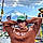 Evandro D. A. B.
