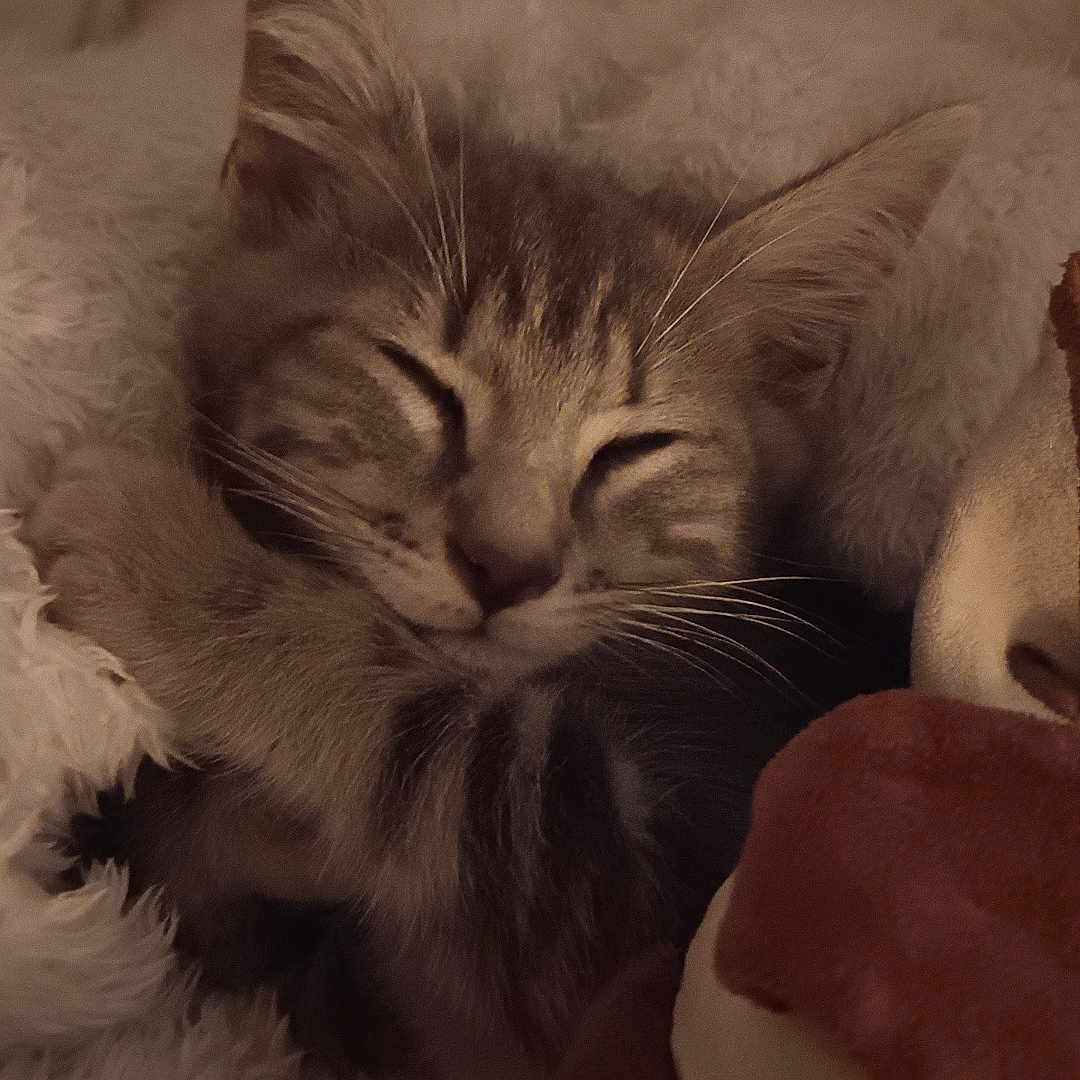 Nala'