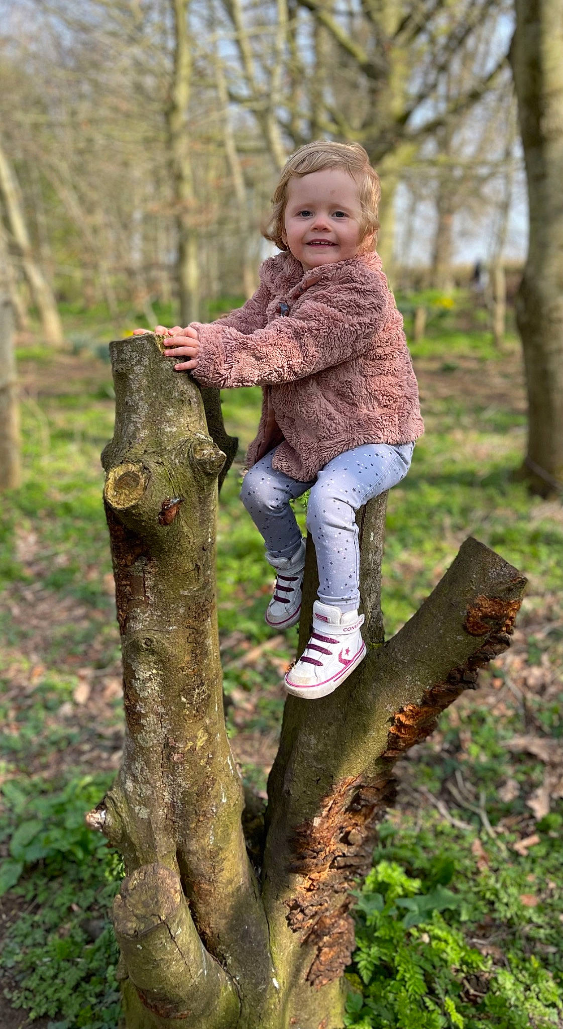 Evie-mae is registered to the contest to win money with this photo: blond, boot, botany, branch, child, forest, grass, happy, joy, knee, leaf, people_in_nature, person, plant, shoe, smile, toddler, tree, trunk, wood