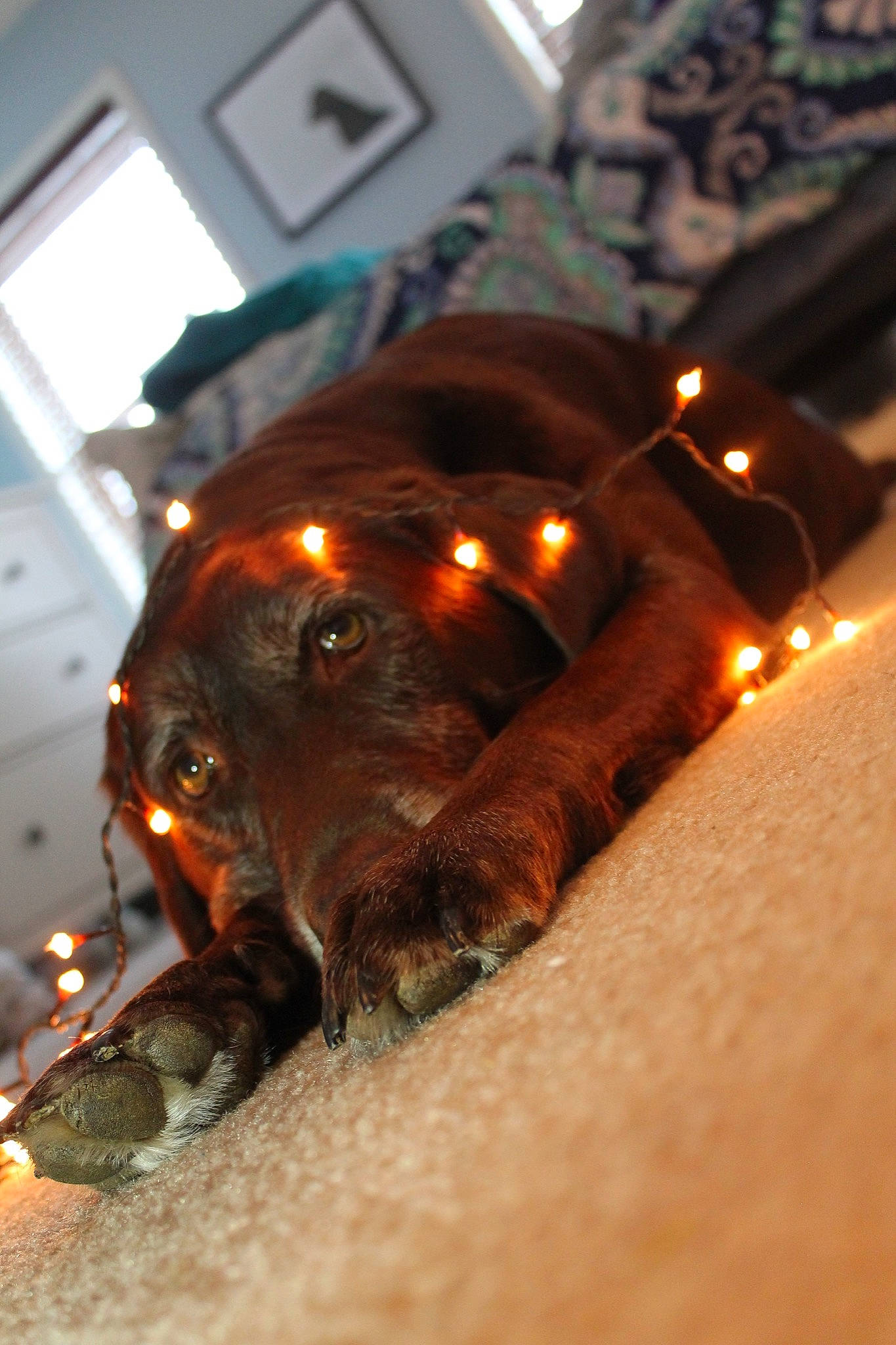 Chloe Lee joined the competition — help win amazing prizes! sporting_group