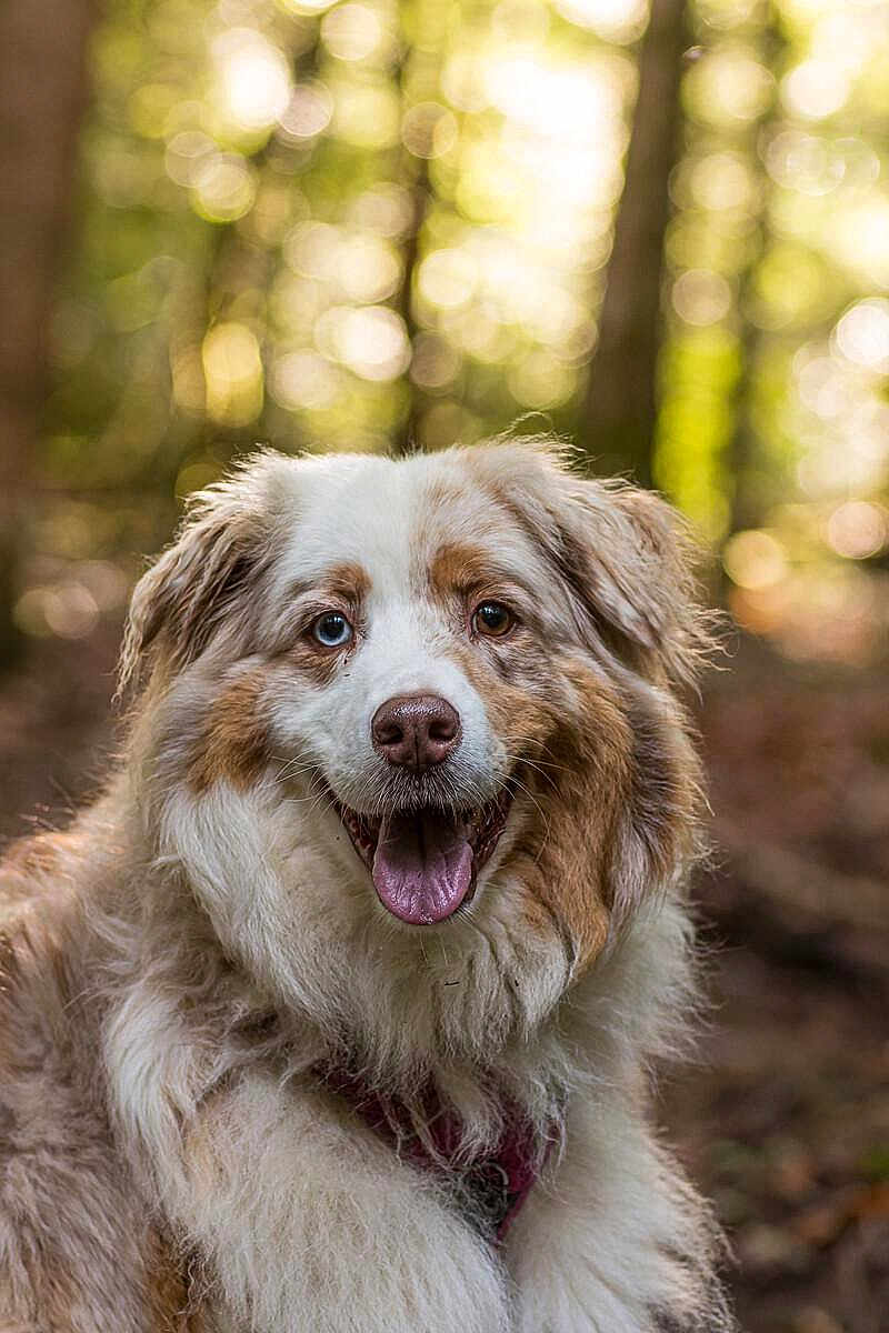 Naska