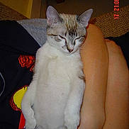 Tom participe au concours pour gagner de l'argent avec cette photo :