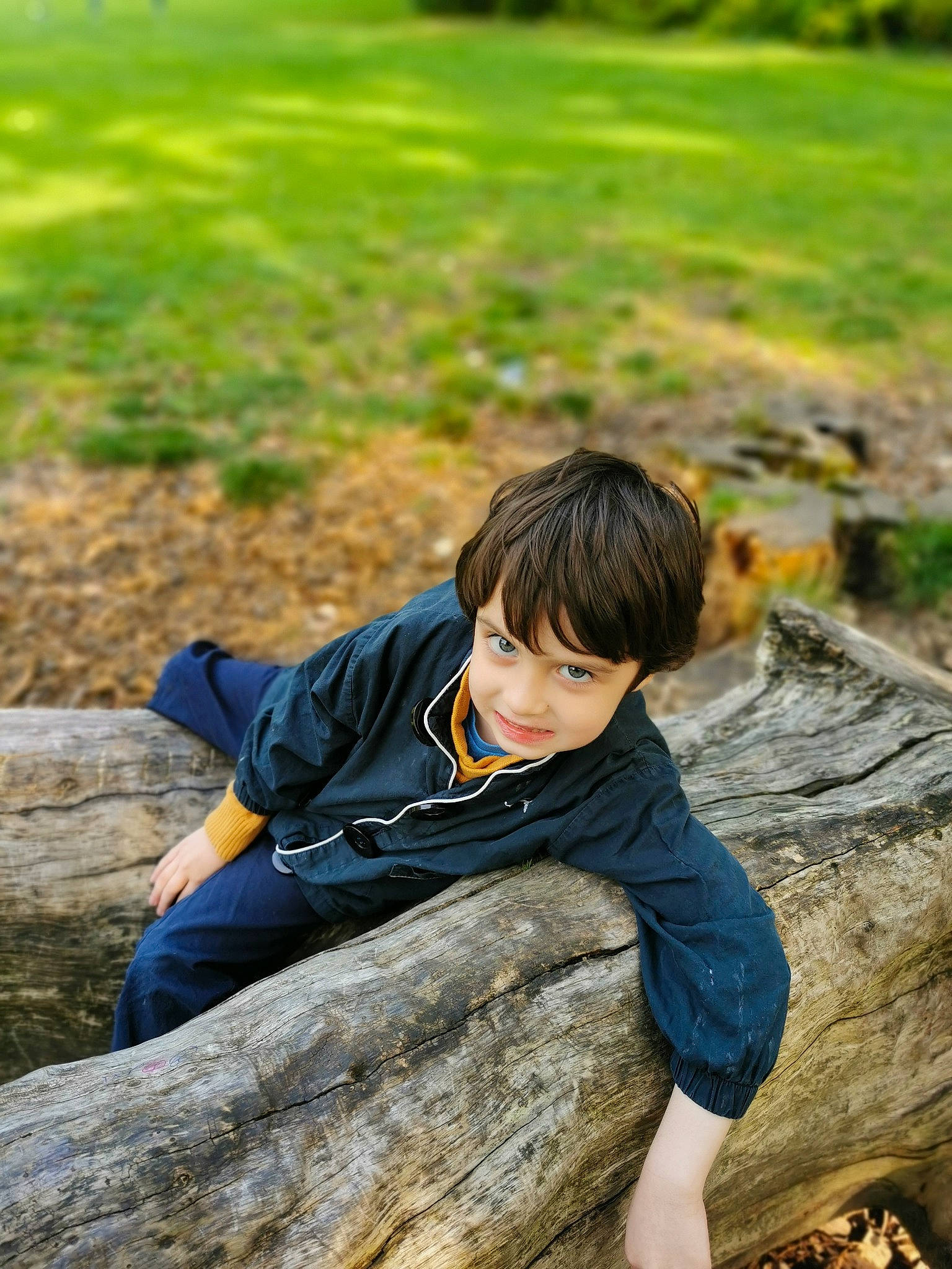 Malonn a rejoint le concours — aidez-le/la à gagner de superbes lots ! botany, child, forest, fun, grass, happy, joy, landscape, leaf, leisure, people_in_nature, person, plant, recreation, rock, sitting, soil, tree, trunk, wilderness