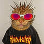 animal, attitude, black_tshirt, cat, closeup, cool, fashion, fur, headshot, hipster, indoor, pet, portrait, punk, reflective_glasses, spiky_fur, stylish, sunglasses, thrasher_shirt, whiskers