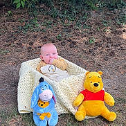 Saint joined the competition — help win amazing prizes! baby, blanket, plush_toy, winnie_the_pooh, eeyore, outdoor, grass, tree, shade, child, toy, nature, ground, person, cute, cozy, smiling, happy, sitting, forest_floor