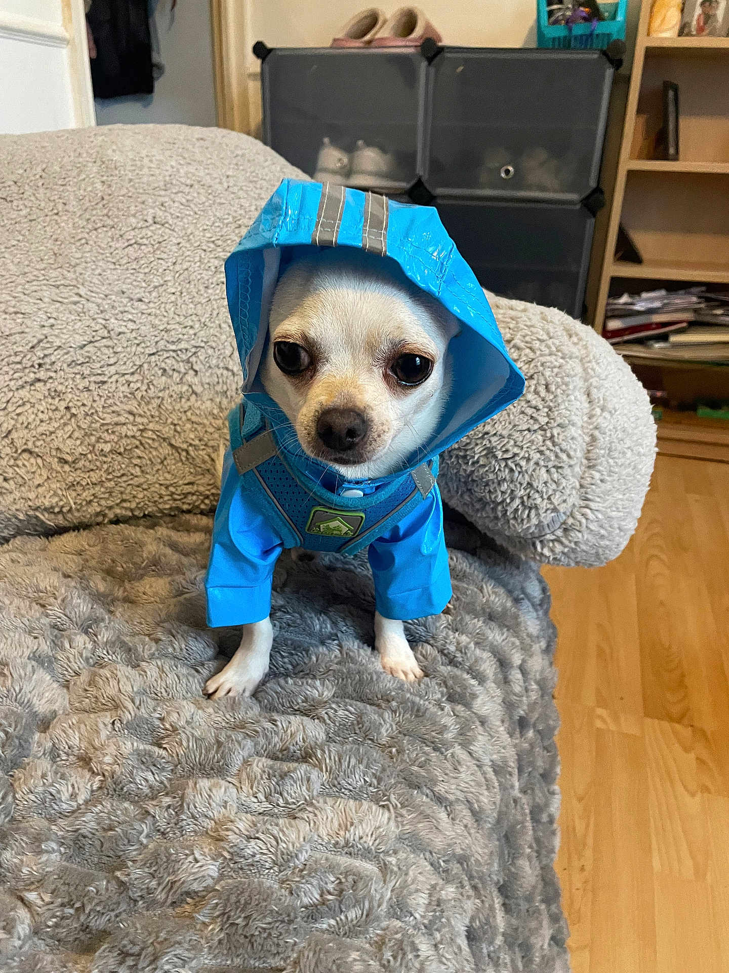 Winnie