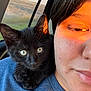 black_kitten, cat, person, face, shoulder, blue_shirt, car_window, sunset_light, close_up, pet, animal, feline, indoor, portrait, young_adult, warm_light, companion, cute, whiskers, fur