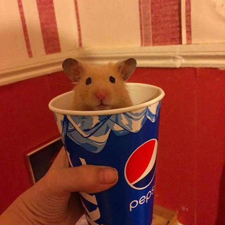 Micky