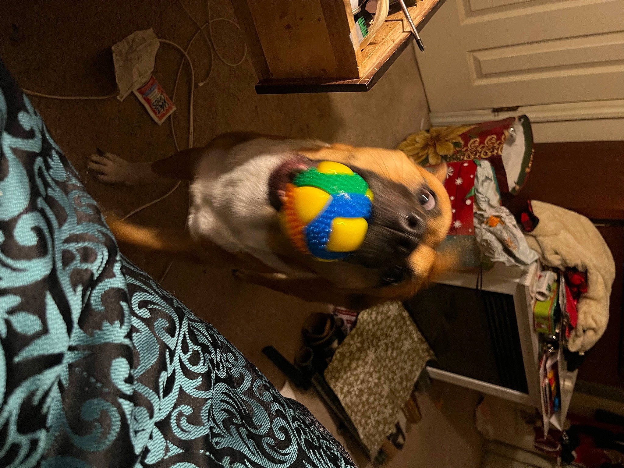 Bill is registered to the contest to win money with this photo: art, comfort, fawn, flooring, fun, fur, linens, machine, pattern, personal_protective_equipment, room, stuffed_toy, textile, visual_arts, working_animal