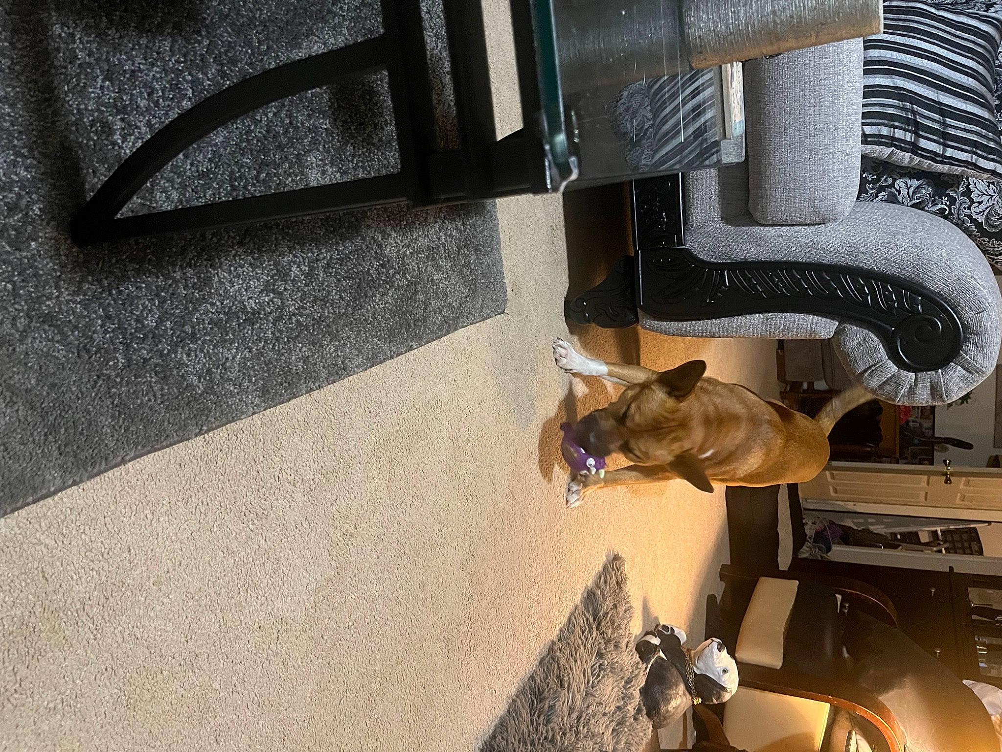 Bill joined the competition — help win amazing prizes! auto_part, automotive_design, automotive_exterior, automotive_lighting, automotive_mirror, automotive_tire, automotive_wheel_system, bumper, carnivore, fender, human_leg, machine, metal, motor_vehicle, rim, tints_and_shades, tire, vehicle, vehicle_door, wood