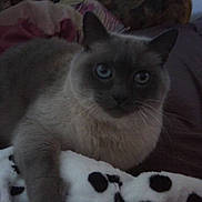 Chenzy participe au concours pour gagner de l'argent avec cette photo :