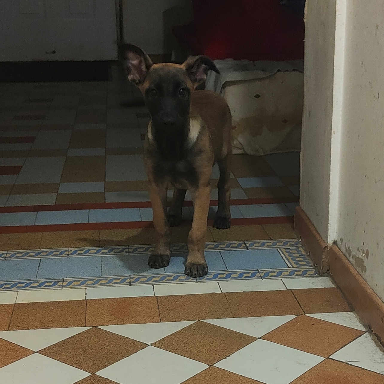 Urka