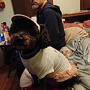 Shadow is registered to the contest to win money with this photo: adult, animal, baby, canine, clothing, couch, dog, face, footwear, furniture, hardwood, hat, head, male, man, person, pet, sitting, terrier, wood