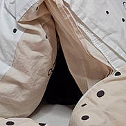 Bobinou a rejoint le concours — aidez-le/la à gagner de superbes lots ! blanket, cat, cozy, fabric, folds, hideout, indoor, pattern, polka_dot, soft, texture, warm, resting, cute, pet, comfort, hidden, black_cat, animal, fur