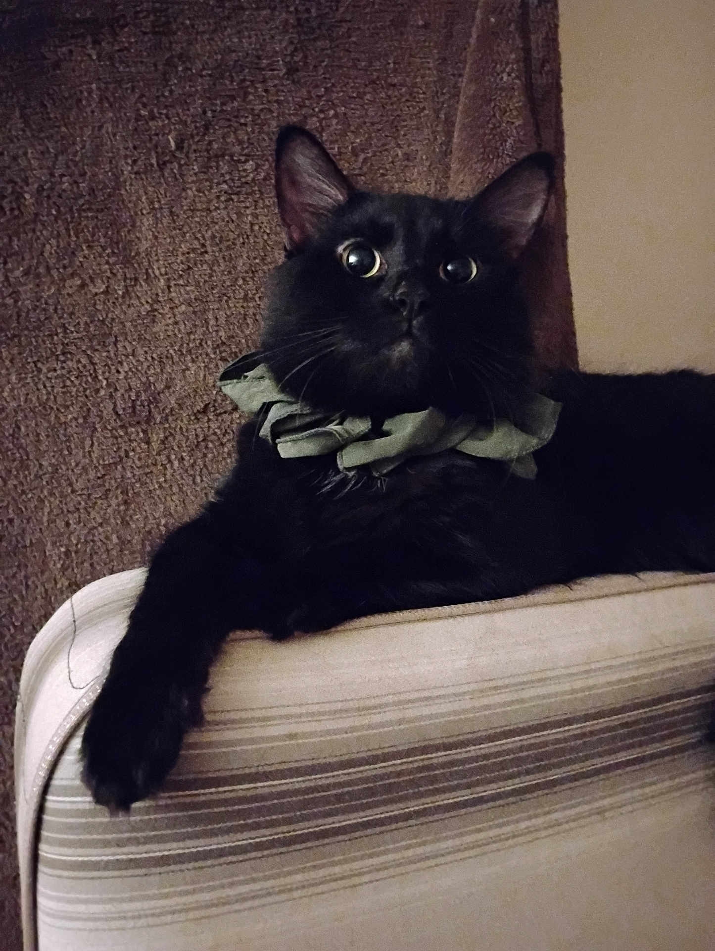 Jack