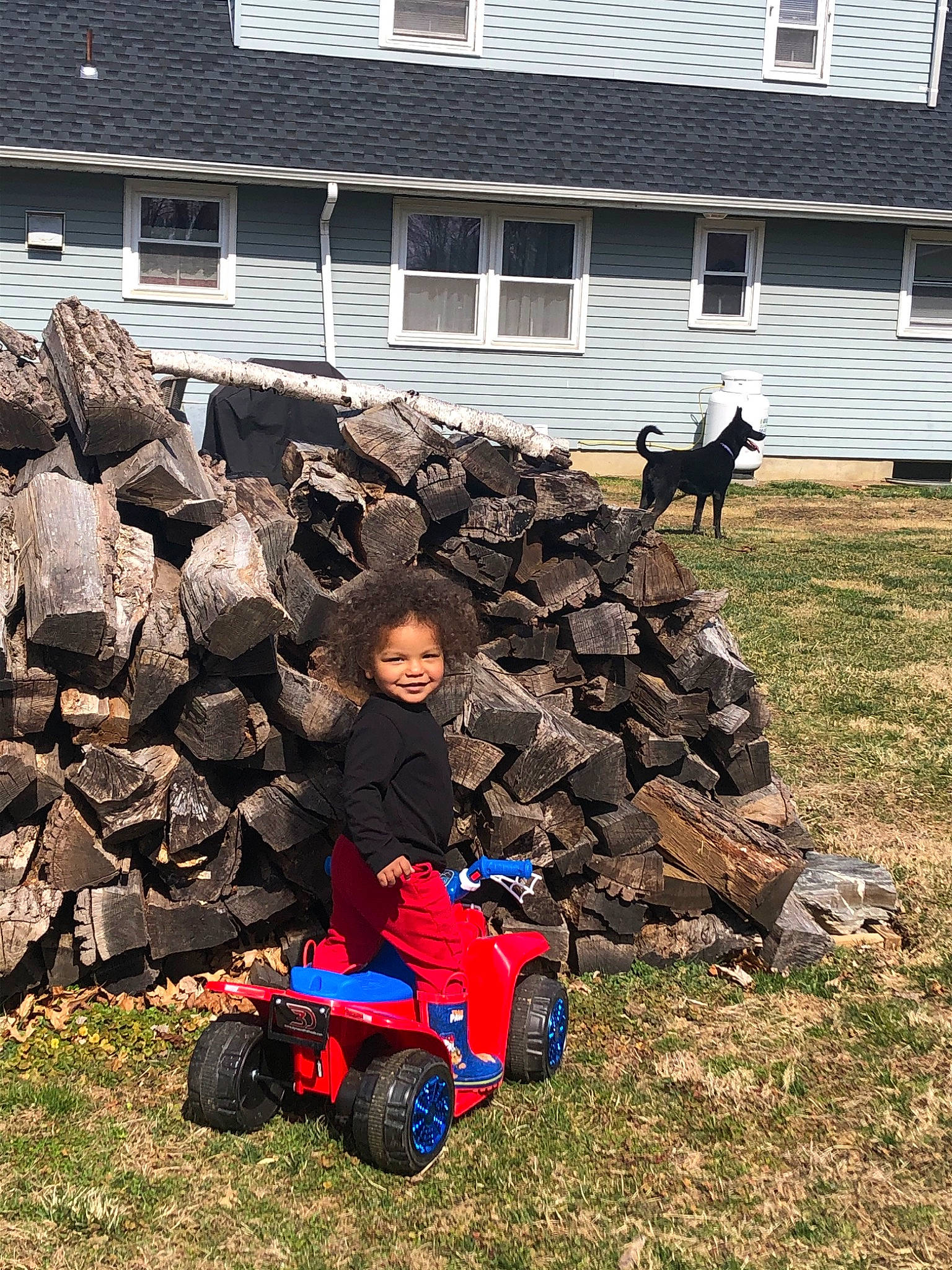 Frederick is registered to the contest to win money with this photo: grass, joy, lawn, person, rock, tree, vehicle